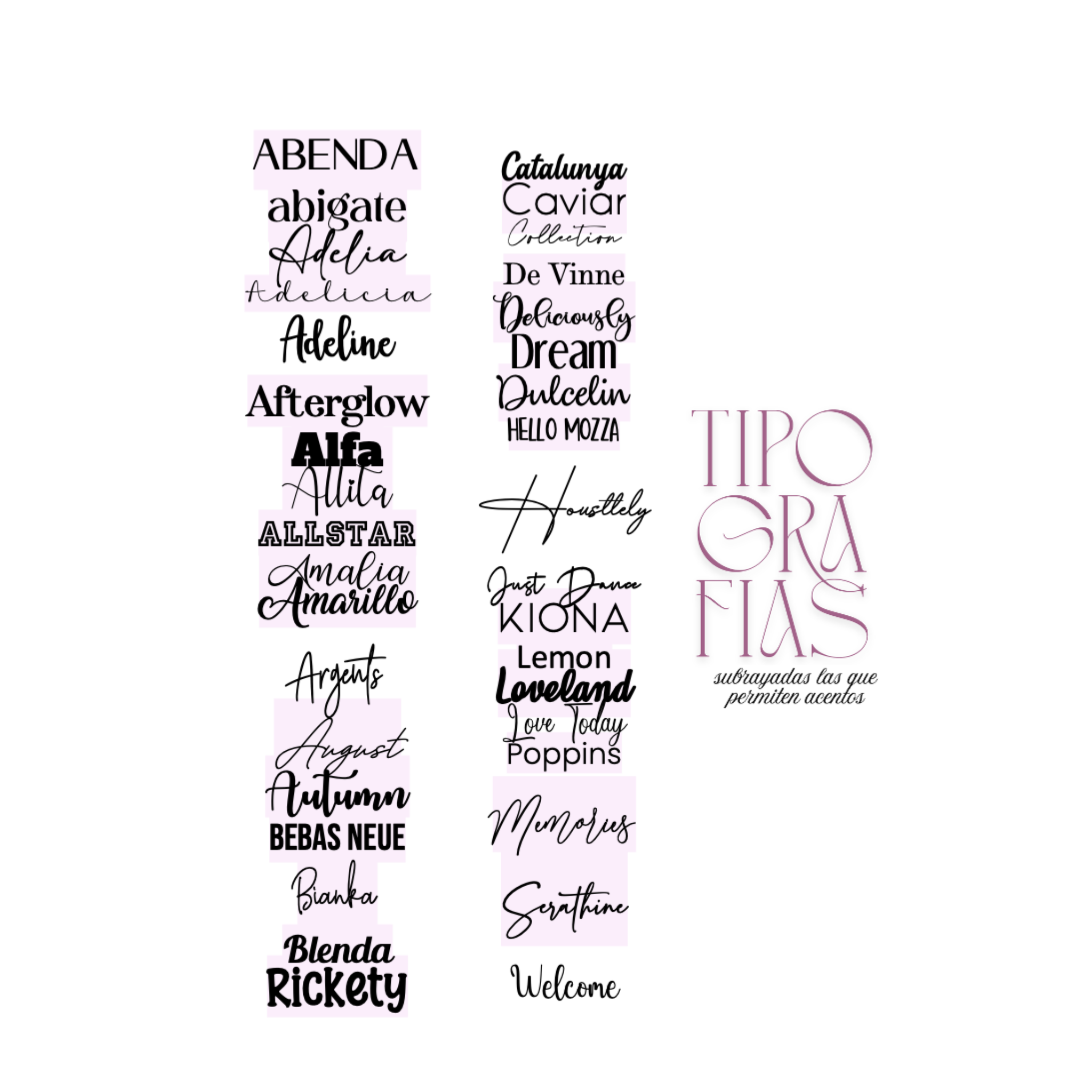 AGENDA 2026 - A + Libreta de regalo