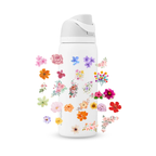 Plantillas Pre - Hechas