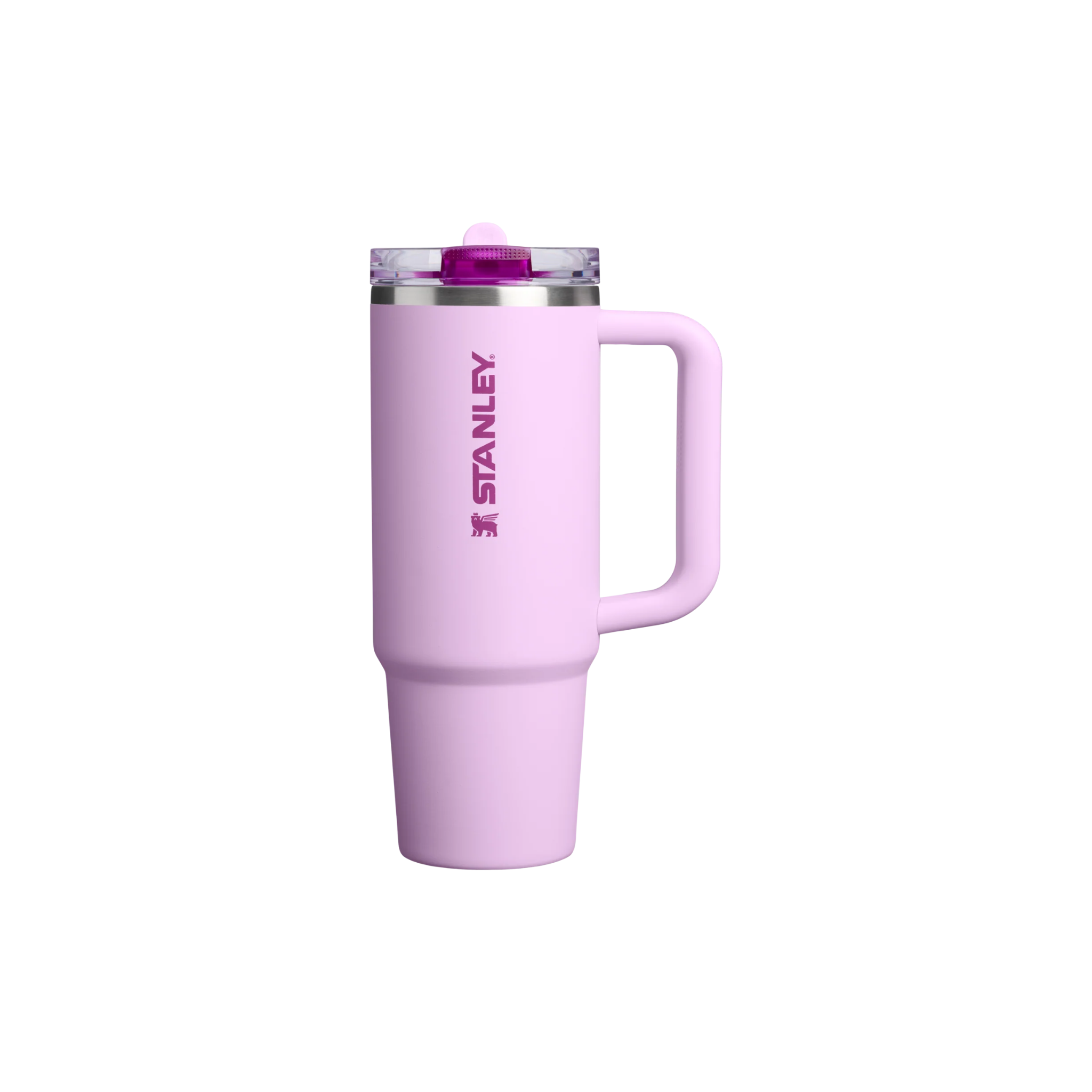 Stanley Quencher-Protour | 30 oz (900 ml)