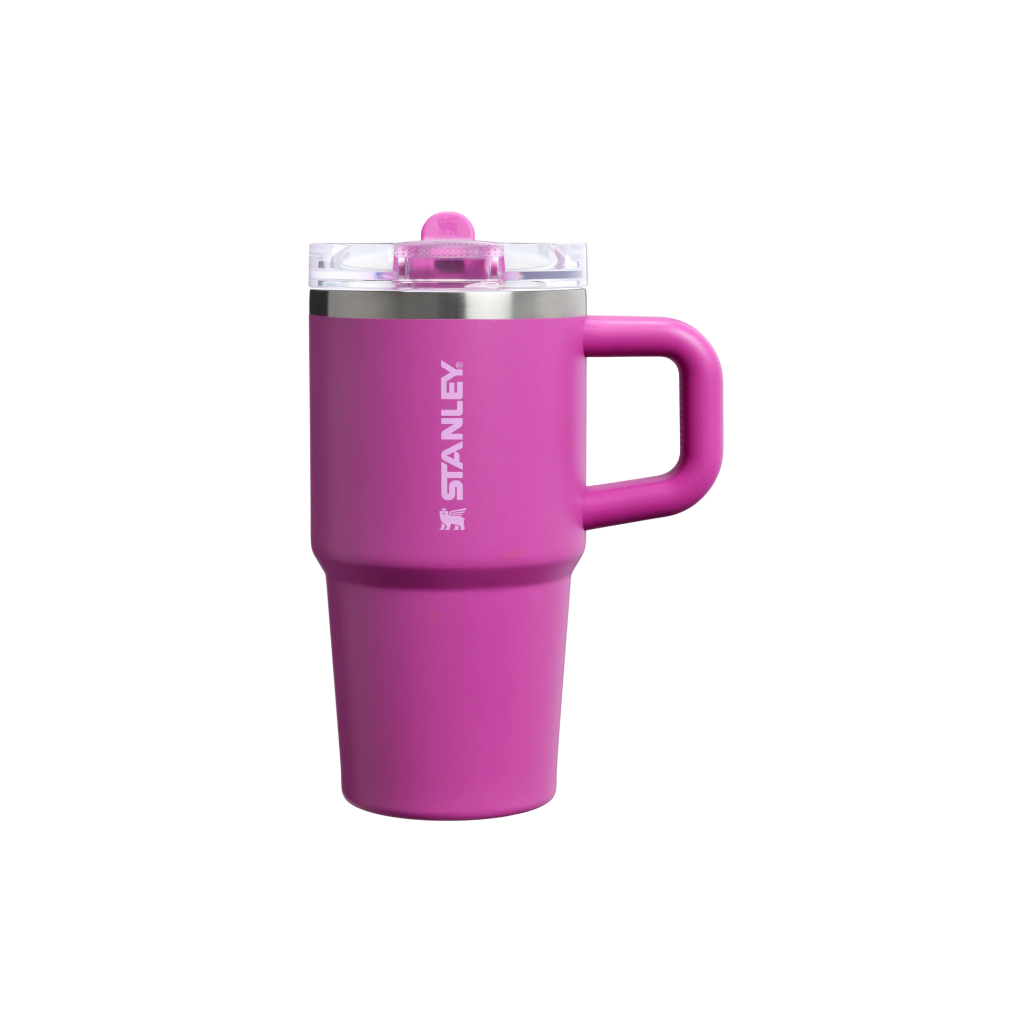 Stanley Quencher ProTour | 20 oz (580 ml)